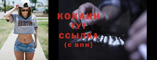 МДПВ Протвино