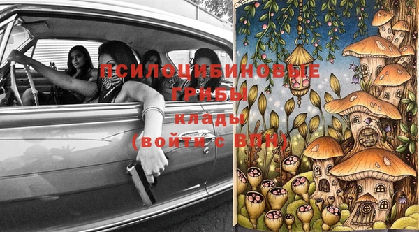 тгк Абаза