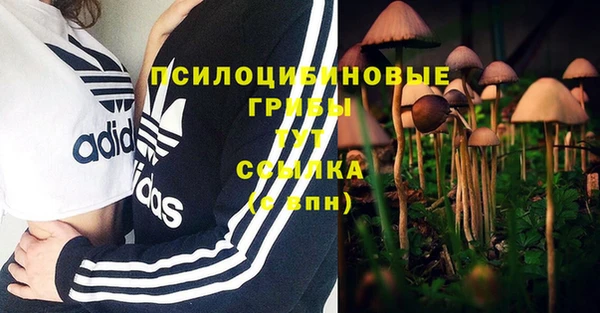 синтетический гашиш Приозерск
