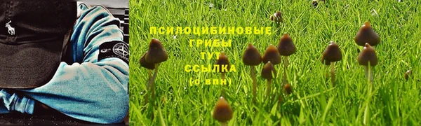 синтетический гашиш Приозерск