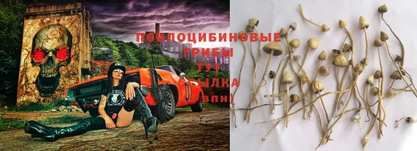 тгк Абаза