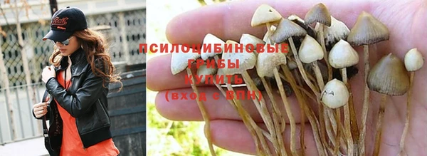 МДПВ Протвино