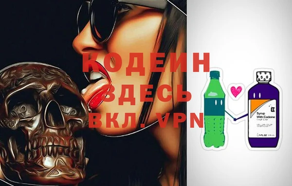 МДПВ Протвино