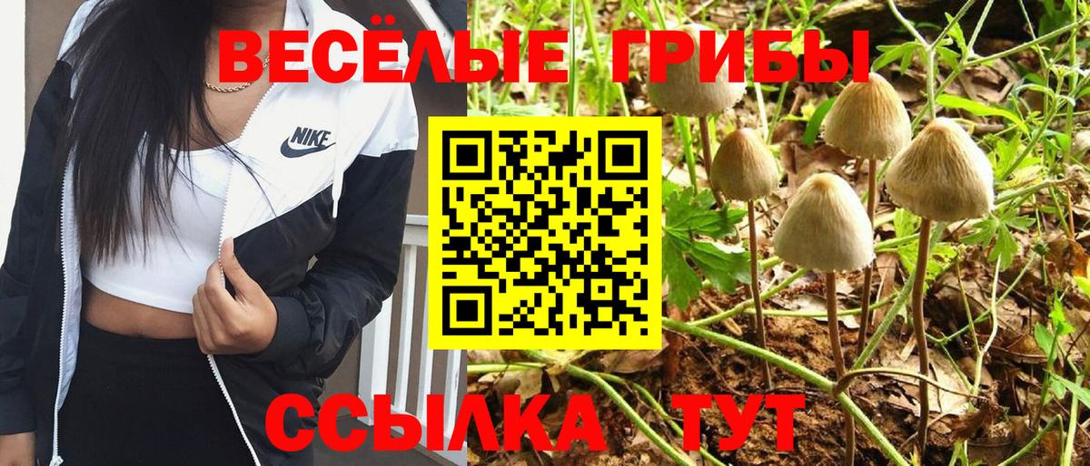Псилоцибиновые грибы мухоморы Советск