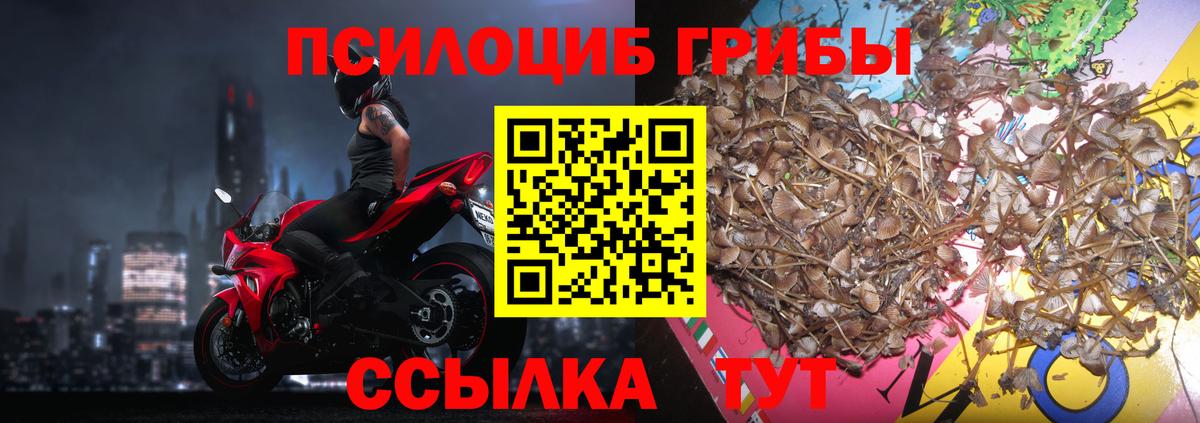 Советск  Галлюциногенные грибы ЛСД  Вход с VPN 